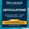 Complément alimentaire reine des prés, ortie, harpagophytum CIP bio Dietaroma articulations - 20 ampoules x 10 ml