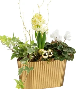 Composition de plantes pot doré festif Pagode or - 20 cm