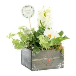 Composition florale Automne Hiver pot bois - 14 x 14 cm