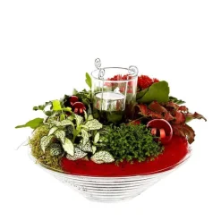 Composition florale de Noël H 25 cm avec verrerie Ø 25 cm