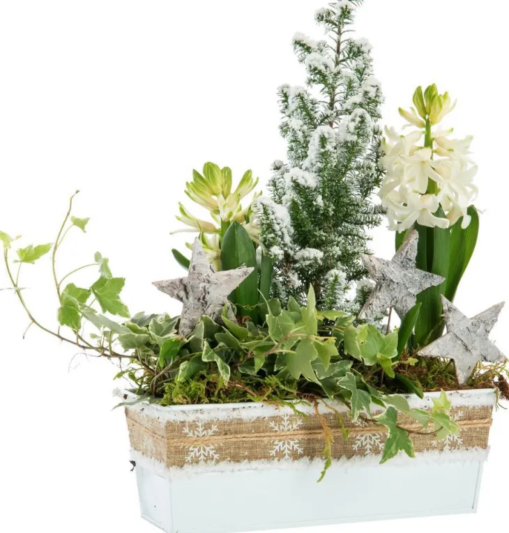 Composition jardinette pot zinc blanc décor ruban rustique - 22 cm