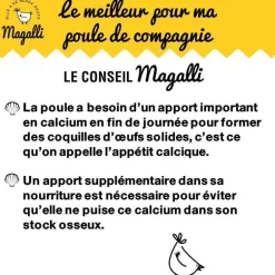 Coquilles d’huitres marines calcaires 5 kg