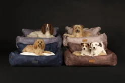 Corbeille pour chien beige Kensington Scruffs – Taille M