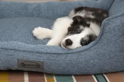 Corbeille pour chien bleu Manhattan Scruffs – Taille XL