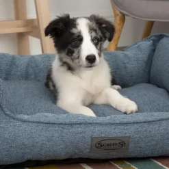 Corbeille pour chien bleu Manhattan Scruffs – Taille XL