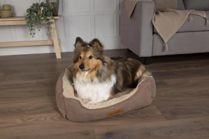 Corbeille pour chien coloris marron Scruffs Cosy – Taille XL