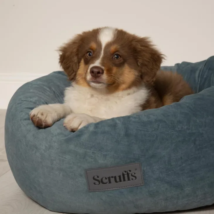 Corbeille pour chien coloris vert Scruffs Oslo Donut – Taille L