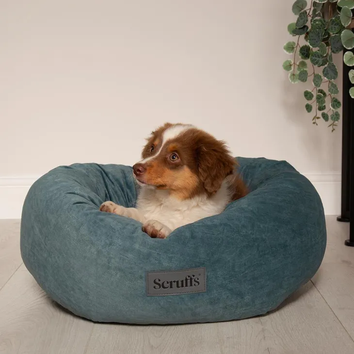 Corbeille pour chien coloris vert Scruffs Oslo Donut – Taille L