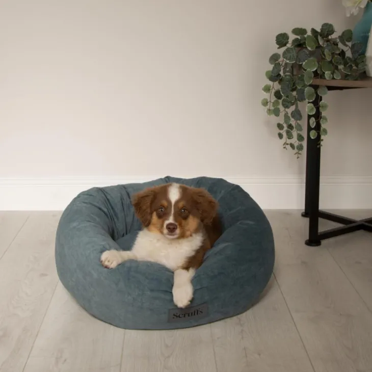 Corbeille pour chien coloris vert Scruffs Oslo Donut – Taille L