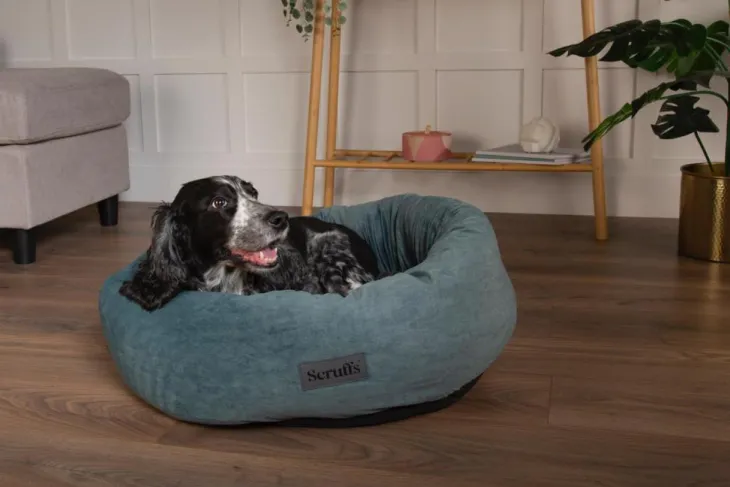 Corbeille pour chien coloris vert Scruffs Oslo Donut – Taille L