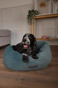 Corbeille pour chien coloris vert Scruffs Oslo Donut – Taille L