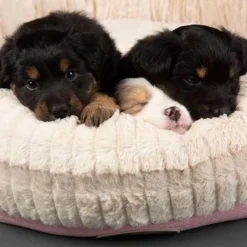 Corbeille pour chien rose Ellen Scruffs - Taille XL