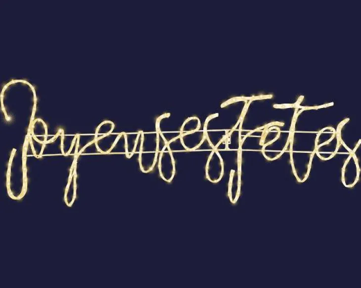 Cordon lumineux Joyeuses Fêtes à 242 micro-LED blanc chaud et câble argent - 107 x 36 cm