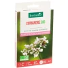 Coriandre bio botanic® - graines à semer (3 m²)