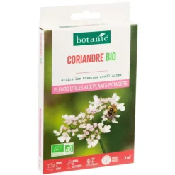 Coriandre bio botanic® - graines à semer (3 m²)