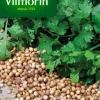 Coriandre Cultivée Vilmorin - graines à semer