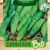 Cornichon Hokus Bio Vilmorin - graines à semer
