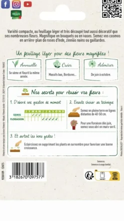 Cosmos Sensation Nain Varié Vilmorin - graines à semer