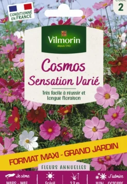 Cosmos Sensation variée Grand jardin Format maxi Vilmorin - graines à semer