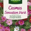 Cosmos Sensatoin Varié Vilmorin - graines à semer