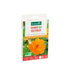 Cosmos sulfureux bio botanic® - graines à semer (3 m²)
