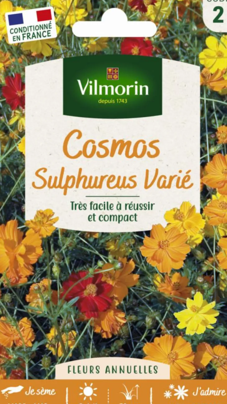 Cosmos Sulphureus Varié Vilmorin - graines à semer