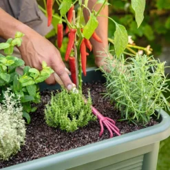 Cosses de sarrasin botanic® - 60 L