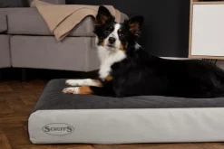 Couchage orthopédique pour chien coloris gris Scruffs ArmourDillo Orthopaedic - Taille XL 116 x 75 x 15 cm