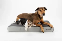 Couchage orthopédique pour chien coloris gris Scruffs ArmourDillo Orthopaedic - Taille XL 116 x 75 x 15 cm