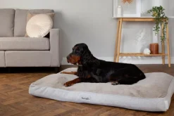 Couchage orthopédique pour chien coloris marron Scruffs Harvard - Taille L 100 x 70 x 12 cm