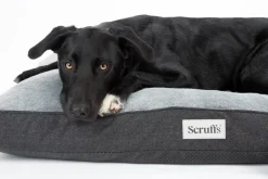 Couchage orthopédique pour chien coloris gris Scruffs Harvard - Taille XL 120 x 75 x 16 cm