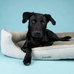 Couchage orthopédique pour chien coloris marron Scruffs Harvard - Taille XXL 110 x 82 x 22 cm