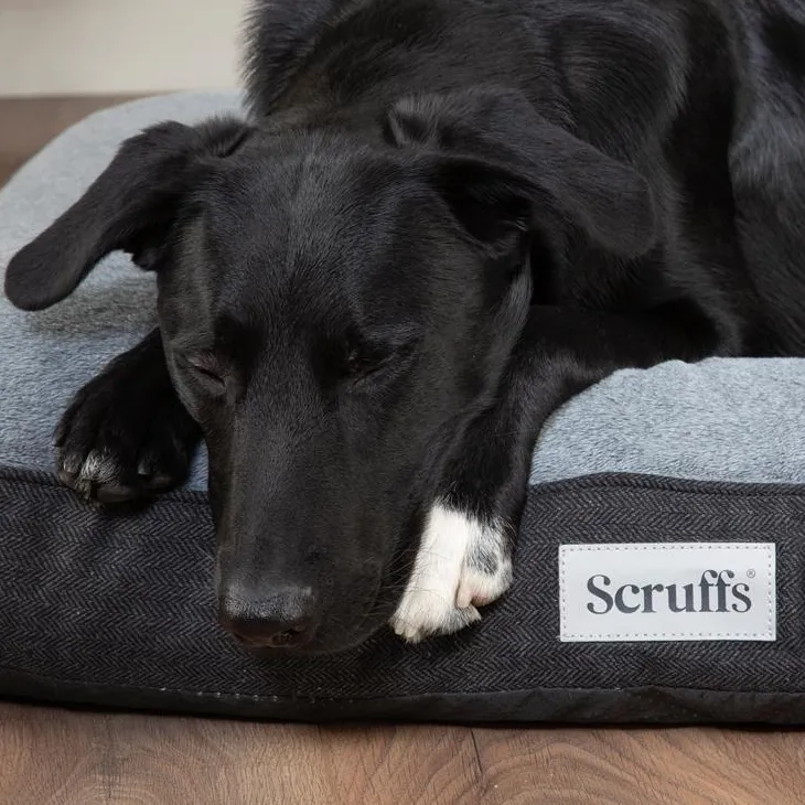 Couchage orthopédique pour chien coloris gris Scruffs Harvard - Taille XXL 140 x 100 x 20 cm