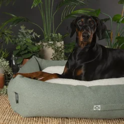 Couchage pour chien coloris vert corbeille Scruffs Eco Eden - Taille XL 90 x 70 cm