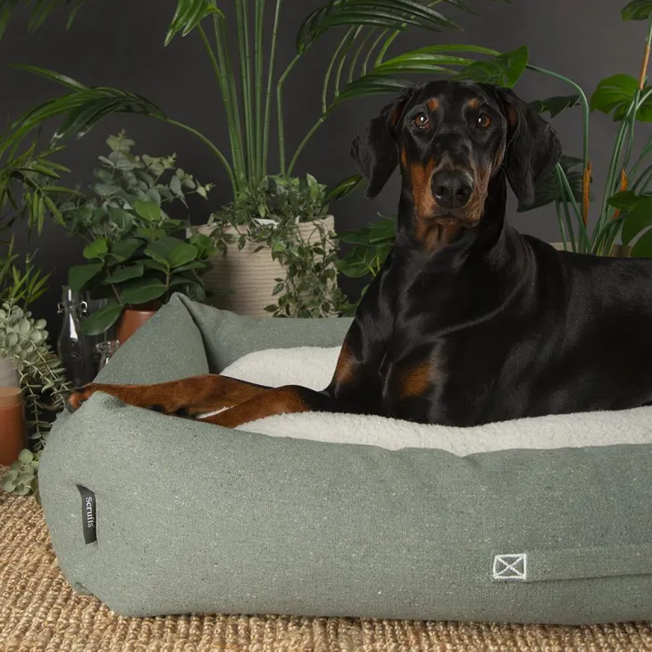 Couchage pour chien coloris vert corbeille Scruffs Eco Eden - Taille XL 90 x 70 cm