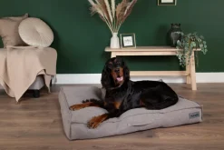 Couchage pour chien coloris gris coussin Scruffs Seattle - Taille L 100 x 70 x 14 cm