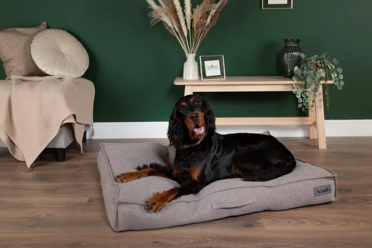 Couchage pour chien coloris gris coussin Scruffs Seattle - Taille L 100 x 70 x 14 cm