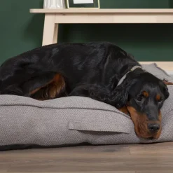 Couchage pour chien coloris gris coussin Scruffs Seattle - Taille L 100 x 70 x 14 cm