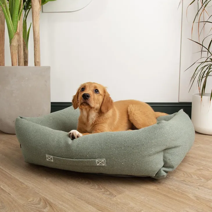 Couchage pour chien coloris vert corbeille Scruffs Eco Eden - Taille M 60 x 50 cm