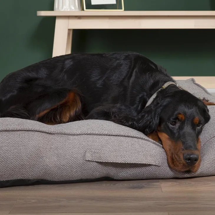 Couchage pour chien coloris gris coussin Scruffs Seattle - Taille M 80 x 60 x 14 cm