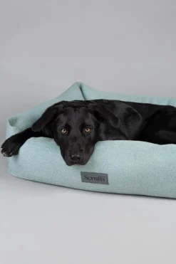 Couchage pour chien coloris vert corbeille Scruffs Ellen - Taille M 60 x 50 x 16 cm