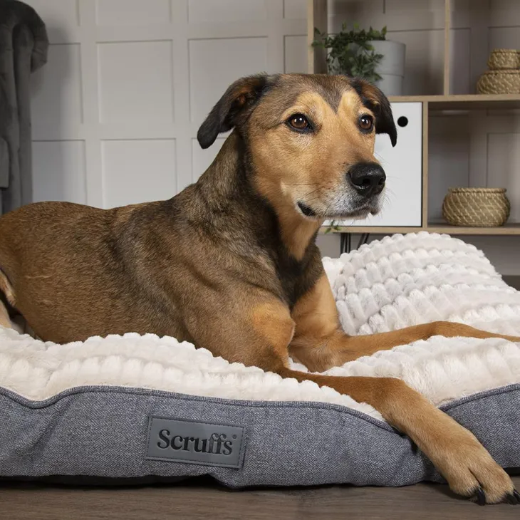 Couchage pour chien coloris gris coussin Scruffs Ellen - Taille M 82 x 58 cm