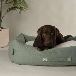 Couchage pour chien coloris vert corbeille Scruffs Eco Eden - Taille L 75 x 60 cm