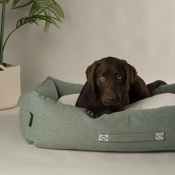 Couchage pour chien coloris vert corbeille Scruffs Eco Eden - Taille L 75 x 60 cm