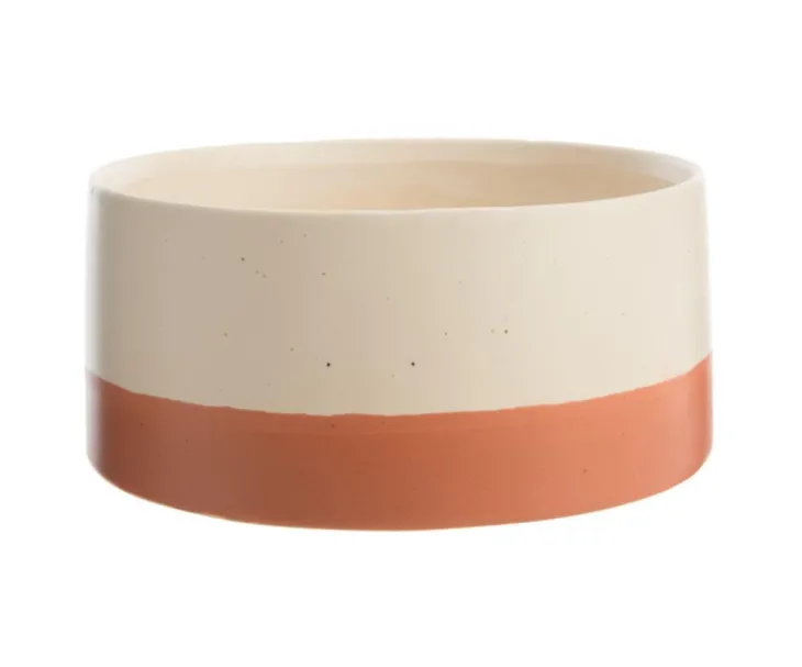 Coupe Cactus coloris beige en céramique - 16,5 x 16,5 cm x 7 cm