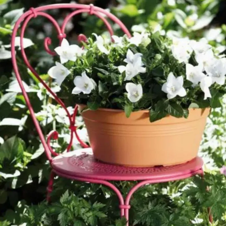 Coupe coloris terre cuite doux Elho Green Basics - Ø 27 cm