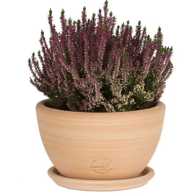 Coupe Cuenco lisse en terre cuite D40x H20