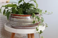 Coupe en terre cuite émaillée crème Noisette Les Poteries d’Albi Melilo - Ø 24 x H 11 cm