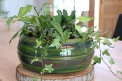 Coupe en terre émaillée coloris vert Les Poteries d'Albi Melilo - Ø 24 x H 11 cm