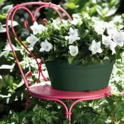 Coupe living noir Elho Green Basics - Ø 33 cm